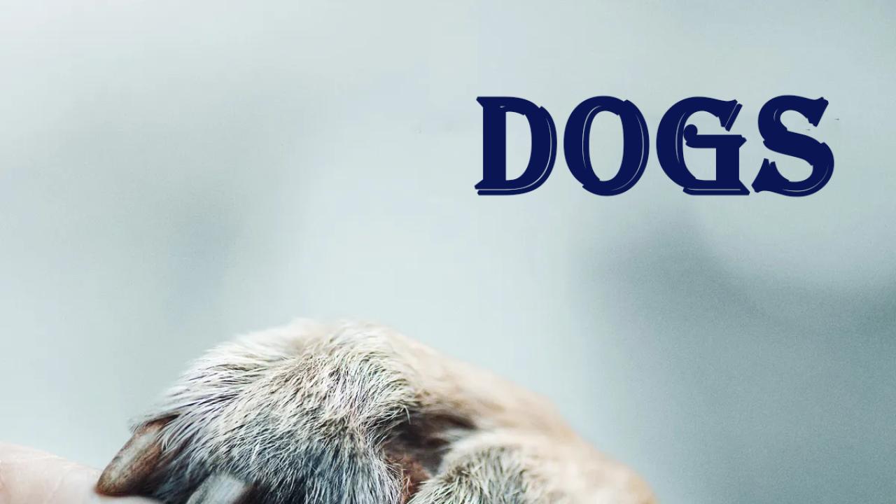 مسلسل Dogs